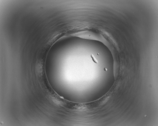 X0000066970113200603241221