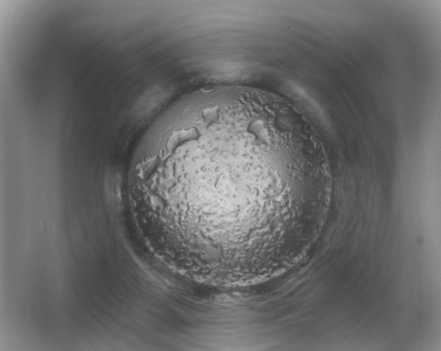 X0000066970115200603241221