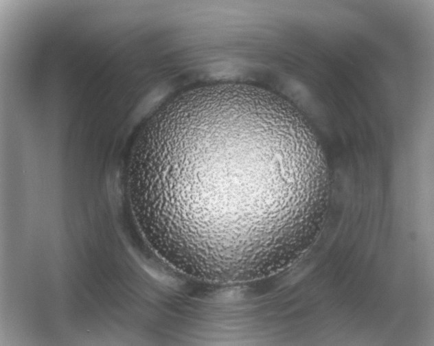 X0000066970116200603241221