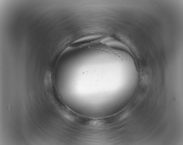 X0000066970117200603241221