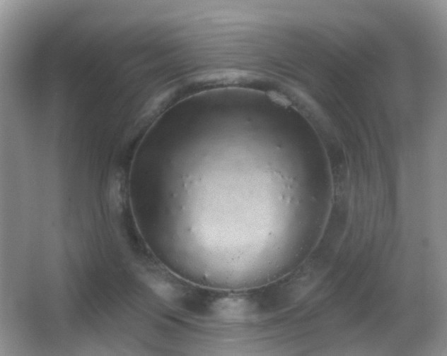 X0000066970119200603241221