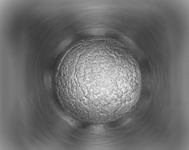 X0000066970120200603241221