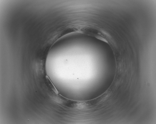 X0000066970121200603241221