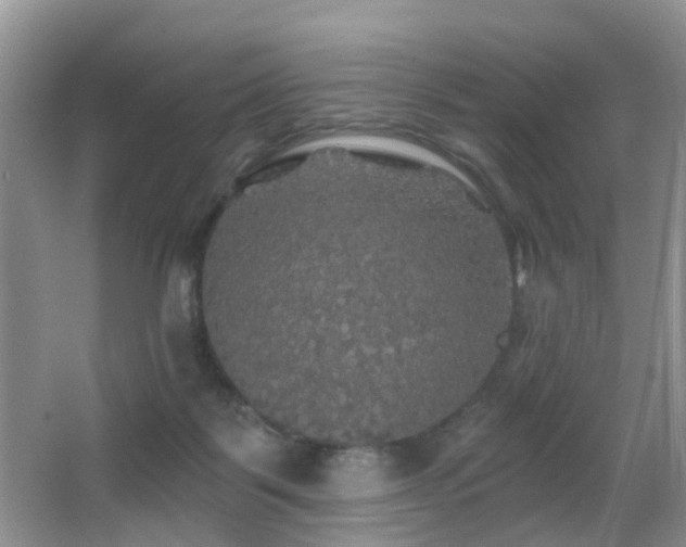 X0000066970123200603241221