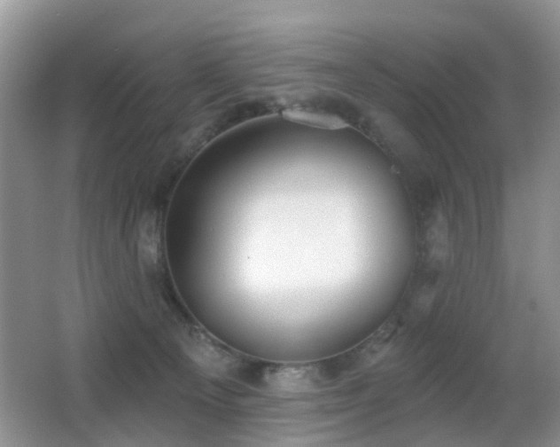 X0000066970129200603241220