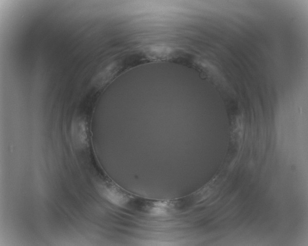 X0000066970130200603241220