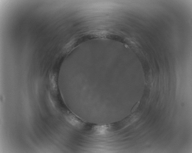 X0000066970131200603241220