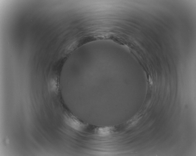 X0000066970134200603241220