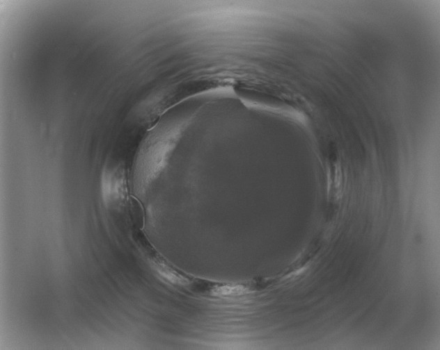 X0000066970137200603241220