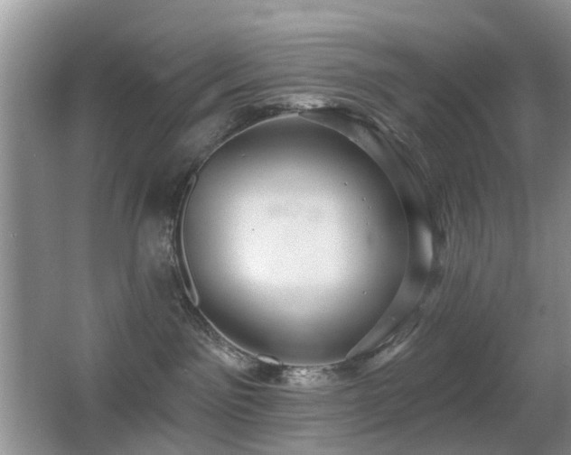 X0000066970141200603241220