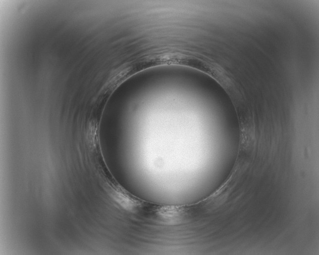 X0000066970142200603241220