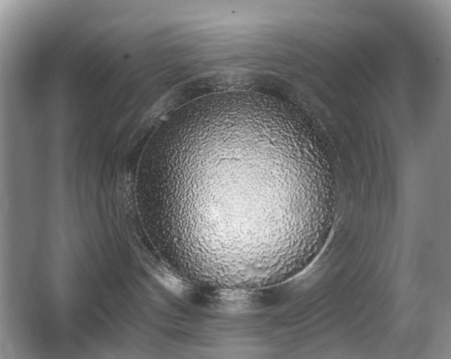 X0000066970144200603241220