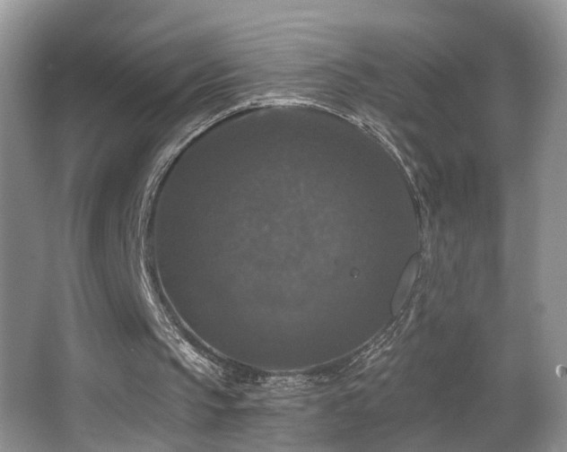 X0000066970145200603241219