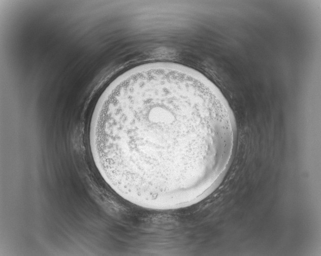 X0000066970146200603241219