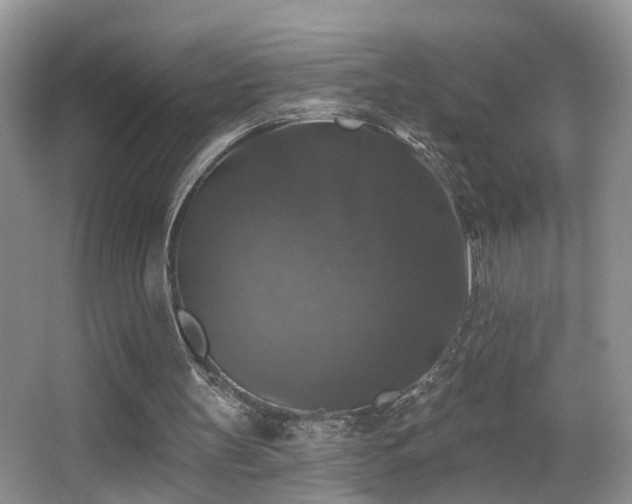 X0000066970147200603241219