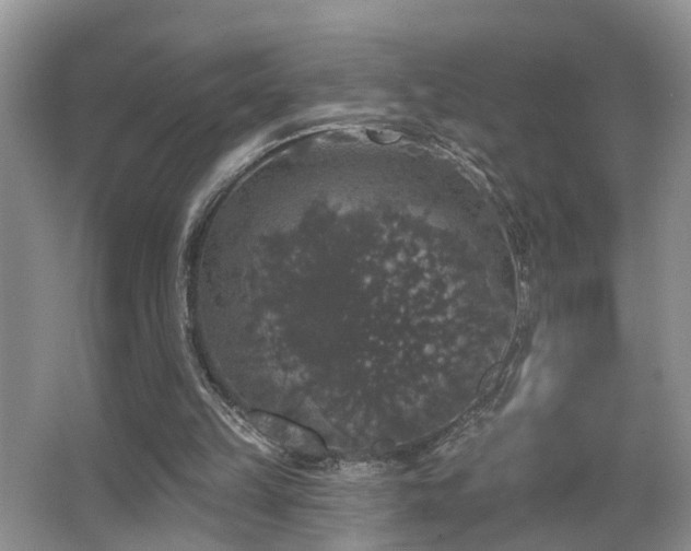 X0000066970149200603241219