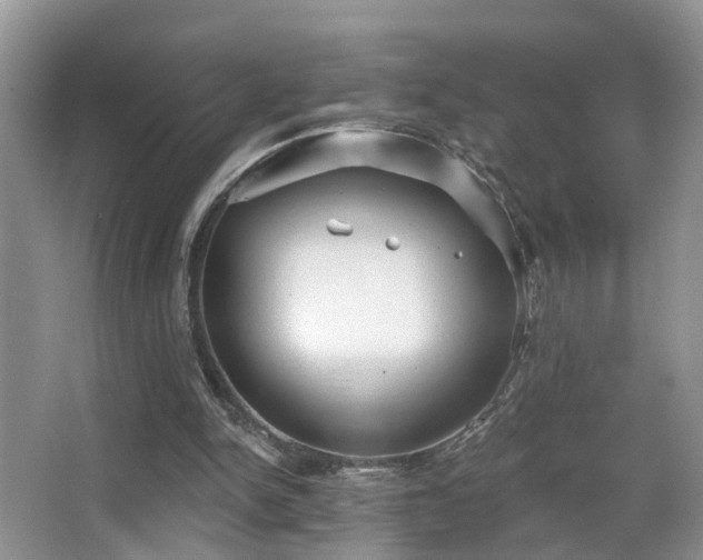 X0000066970150200603241219