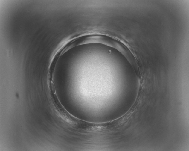 X0000066970152200603241220