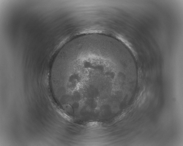 X0000066970153200603241220