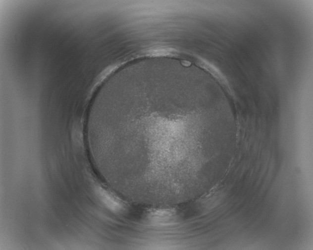 X0000066970155200603241220