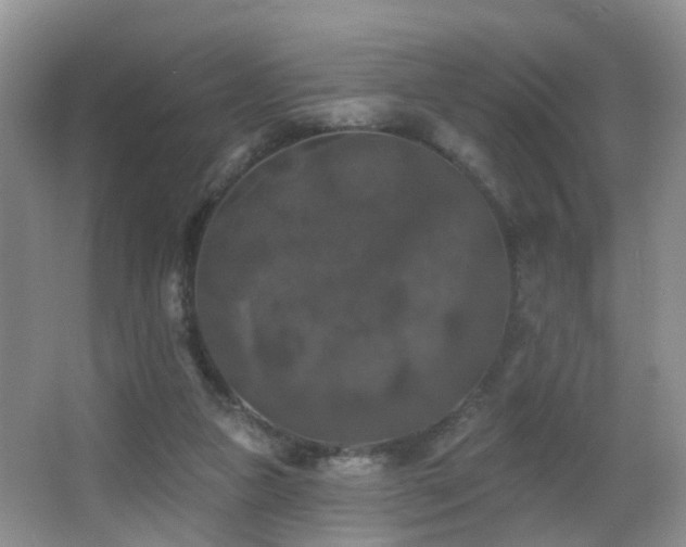 X0000066970161200603241220