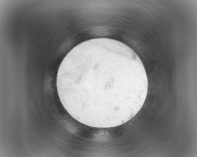 X0000066970162200603241220