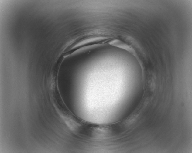 X0000066970164200603241220