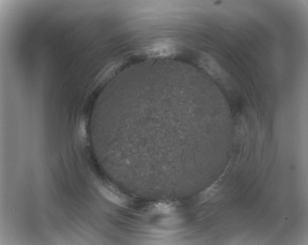 X0000066970166200603241220