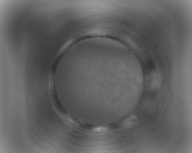 X0000066970168200603241220