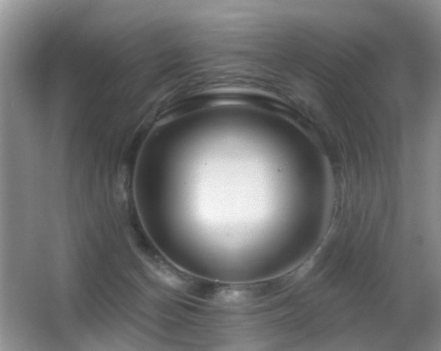 X0000066970174200603241220