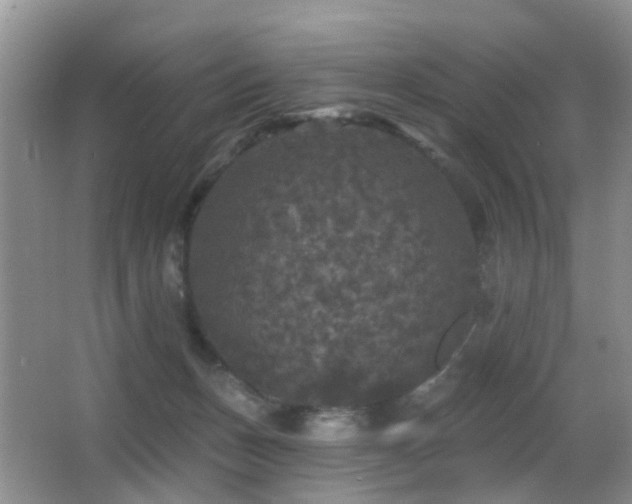 X0000066970175200603241220