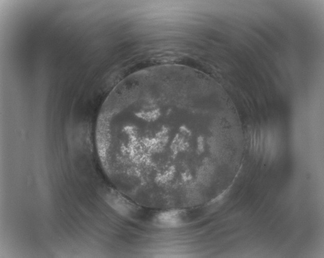 X0000066970178200603241220