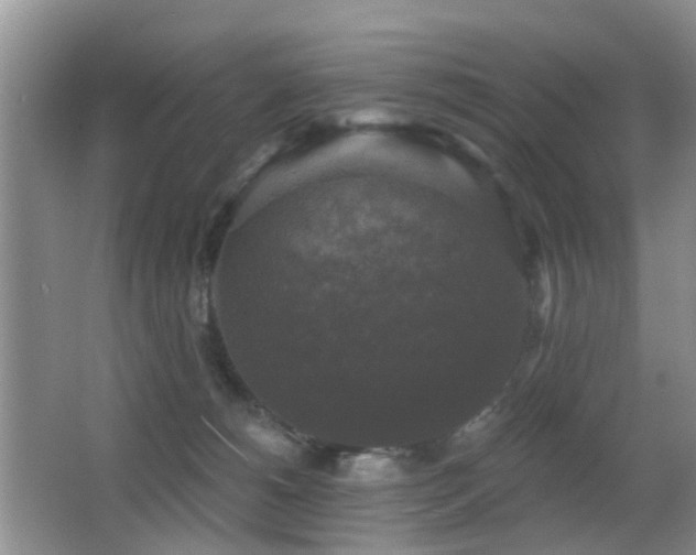 X0000066970180200603241220