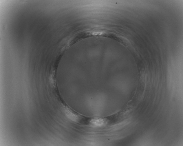 X0000066970181200603241220