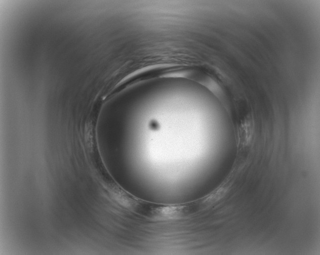 X0000066970184200603241220