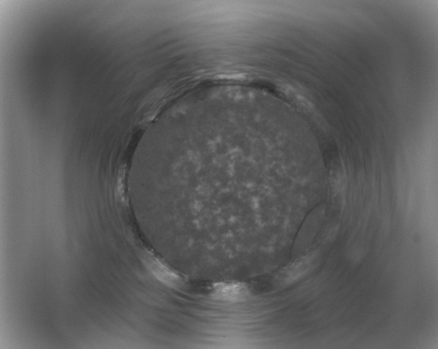 X0000066970185200603241220