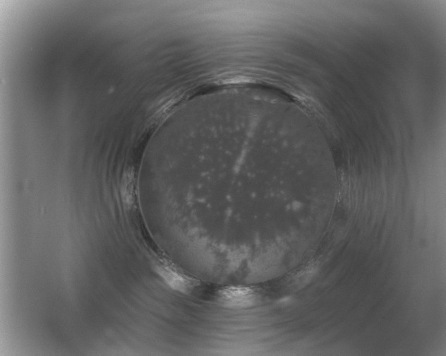 X0000066970189200603241220