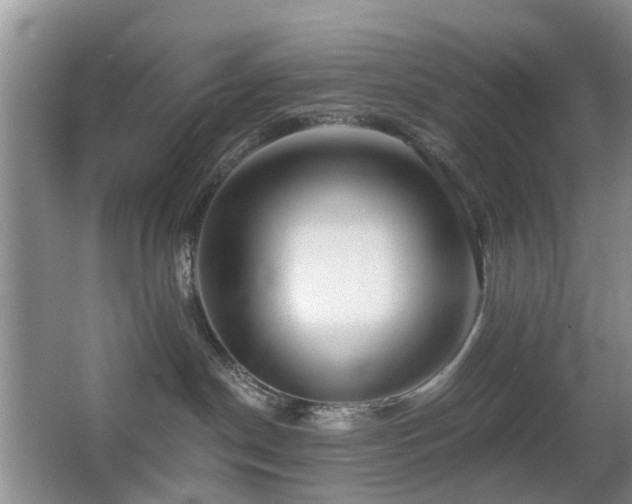 X0000066970190200603241220