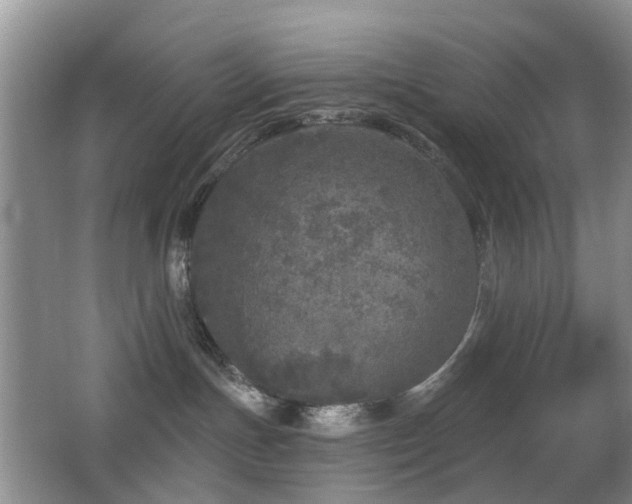 X0000066970191200603241220