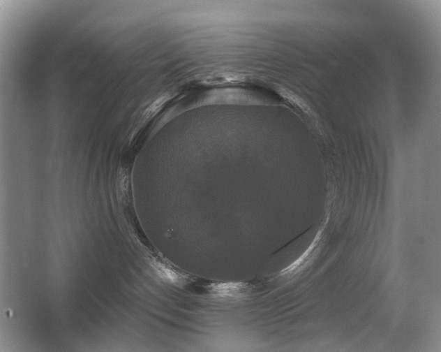 X0000066970192200603241220