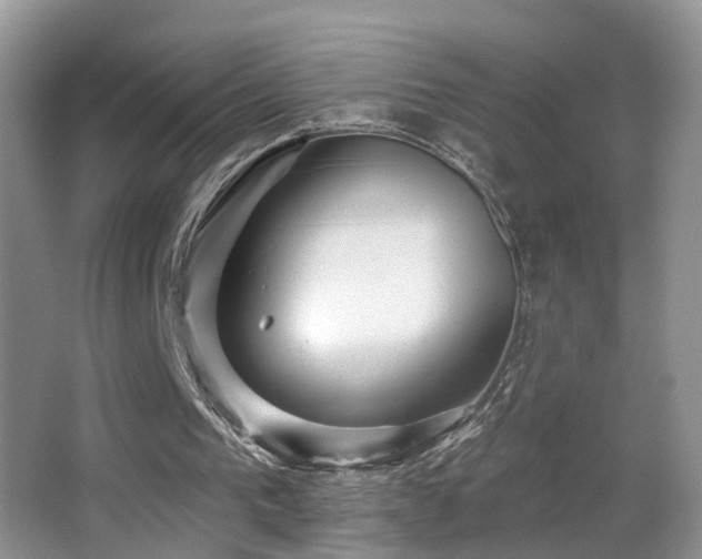 X0000066970193200603241219