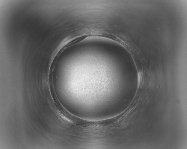 X0000066970195200603241219