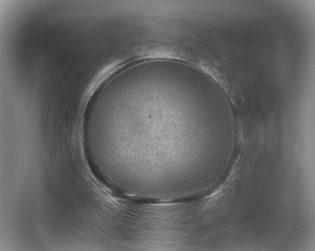 X0000066970199200603241219