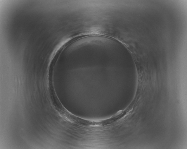 X0000066970200200603241219