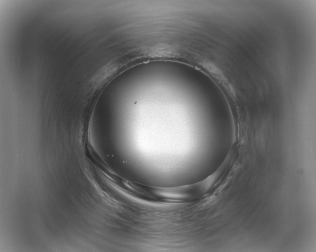 X0000066970201200603241219