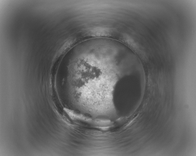 X0000066970202200603241219