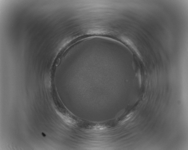 X0000066970204200603241219