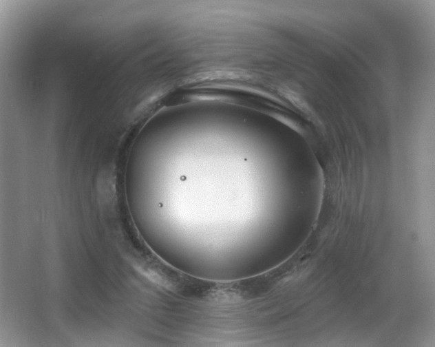 X0000066970207200603241219