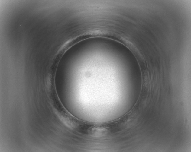 X0000066970208200603241219