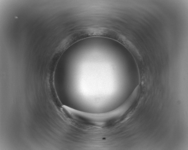 X0000066970209200603241219